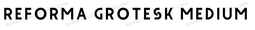 Reforma Grotesk Medium W08 Rg字体转换